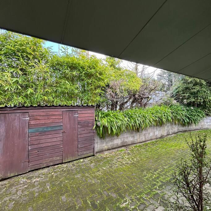 Peaceful Green Bay Charmer Auckland Exterior photo